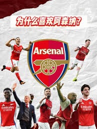 厄瓜多尔世界杯48强分析：南美之狮的防守策略